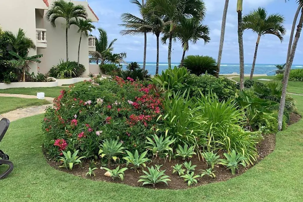 Lägenhet Cabarete Beachfront Condos Nanny Estate Unit C2